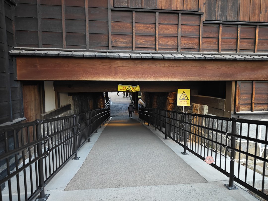 【熊本景點】熊本城秋天必看銀杏｜千年銀杏樹染金黃，走進「銀杏城」的浪漫季節 @Maruko(丸子)與美食有個約會
