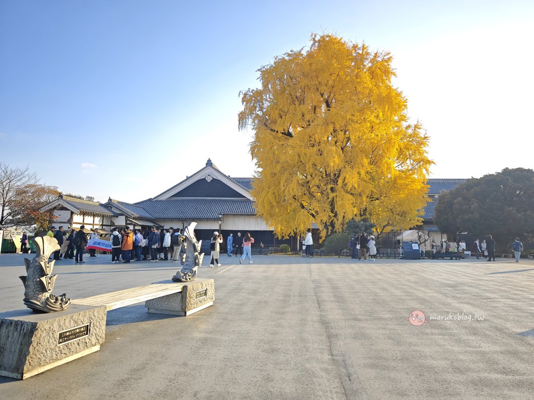 【熊本景點】熊本城秋天必看銀杏｜千年銀杏樹染金黃，走進「銀杏城」的浪漫季節 @Maruko(丸子)與美食有個約會