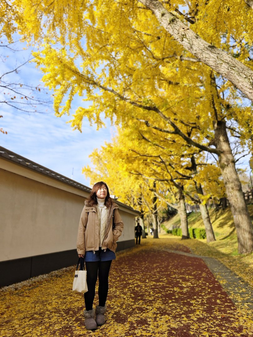 【熊本景點】熊本城秋天必看銀杏｜千年銀杏樹染金黃，走進「銀杏城」的浪漫季節 @Maruko(丸子)與美食有個約會