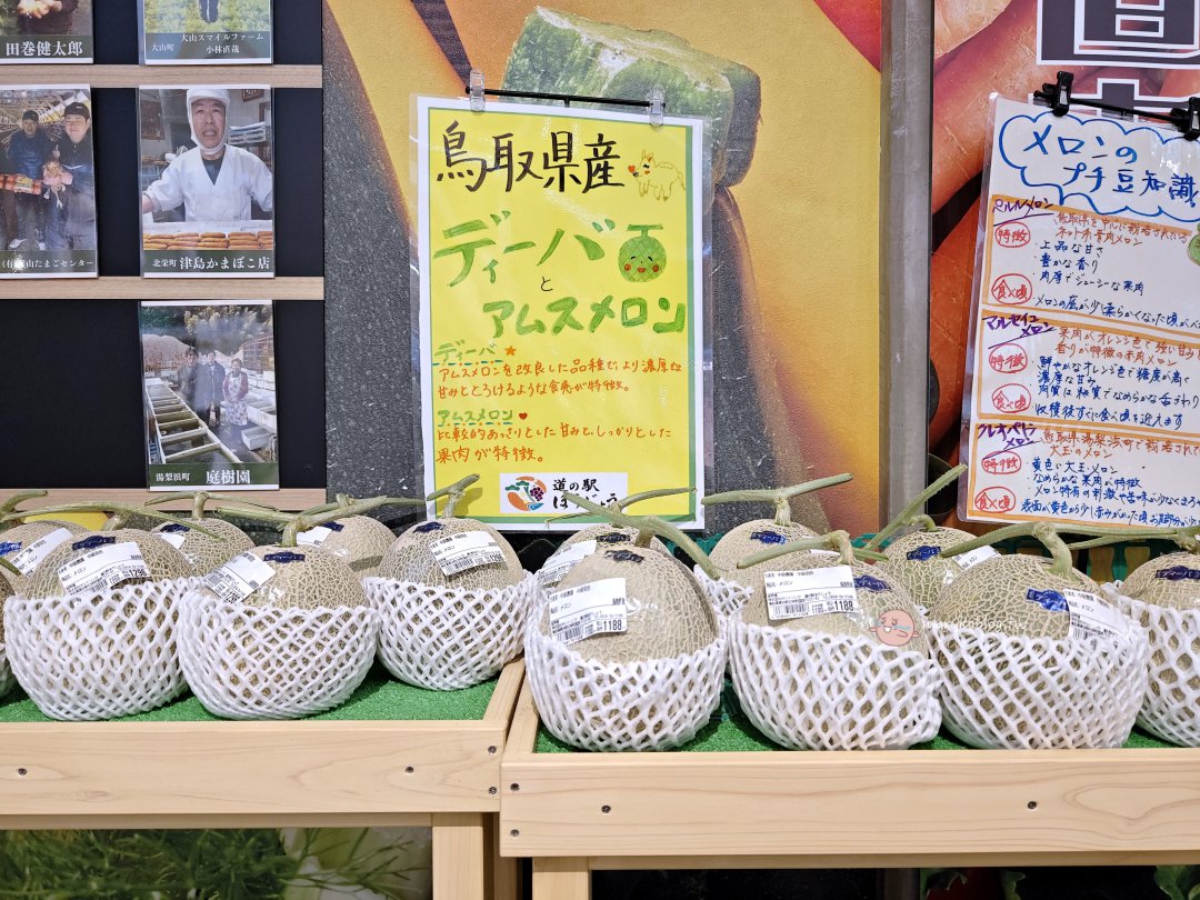 2025鳥取最新道路休息站「道の駅 ほうじょう」|海鮮丼、現炸咖哩麵包、親子遊戲區一次滿足的中途休憩好去處 @Maruko(丸子)與美食有個約會 2025鳥取最新道路休息站「道の駅 ほうじょう」|海鮮丼、現炸咖哩麵包、親子遊戲區一次滿足的中途休憩好去處 @Maruko(丸子)與美食有個約會