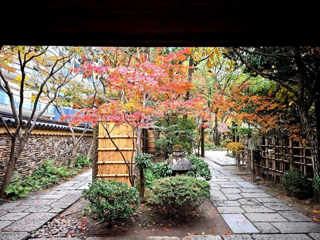 【2026福岡賞楓攻略】搭地鐵玩櫛田神社、紅葉八幡宮、樂水園、昭和通銀杏大道 @Maruko(丸子)與美食有個約會
