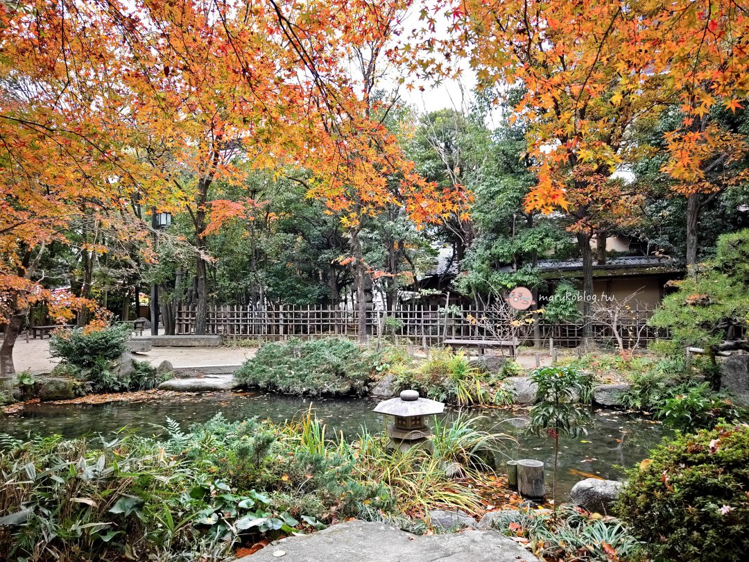 【福岡賞楓景點】樂水園：博多車站步行可達！市區鬧中取靜的絕美日式庭園與秋季楓紅 @Maruko(丸子)與美食有個約會