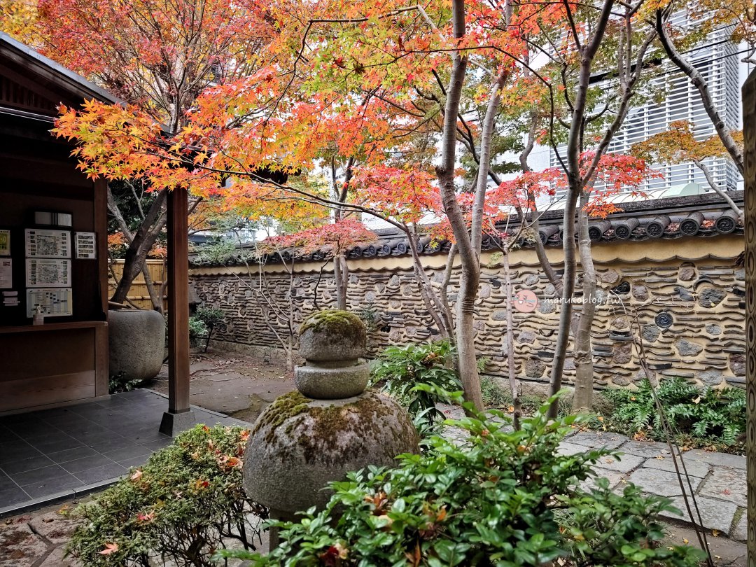 【福岡賞楓景點】樂水園：博多車站步行可達！市區鬧中取靜的絕美日式庭園與秋季楓紅 @Maruko(丸子)與美食有個約會