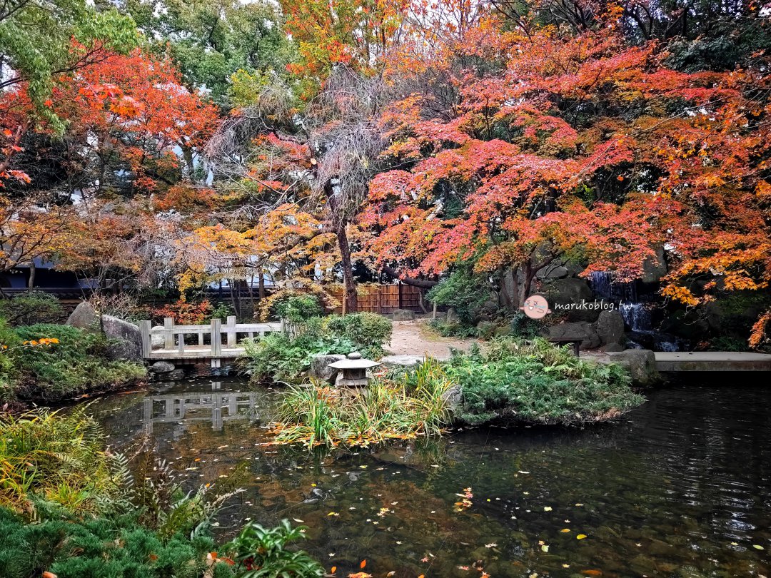 【福岡賞楓景點】樂水園：博多車站步行可達！市區鬧中取靜的絕美日式庭園與秋季楓紅 @Maruko(丸子)與美食有個約會