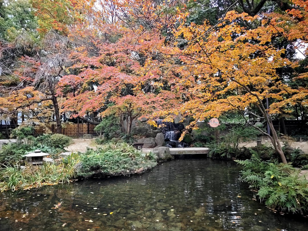 【福岡賞楓景點】樂水園：博多車站步行可達！市區鬧中取靜的絕美日式庭園與秋季楓紅 @Maruko(丸子)與美食有個約會