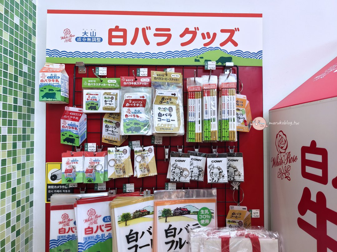 鳥取白玫瑰牛乳|山陰地區限定!鳥取人從小喝到大的超市便利商店必喝鮮乳 @Maruko(丸子)與美食有個約會 鳥取白玫瑰牛乳|山陰地區限定!鳥取人從小喝到大的超市便利商店必喝鮮乳 @Maruko(丸子)與美食有個約會