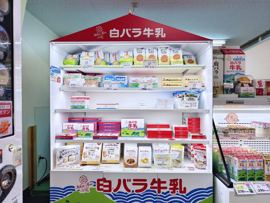 鳥取白玫瑰牛乳|山陰地區限定!鳥取人從小喝到大的超市便利商店必喝鮮乳 @Maruko(丸子)與美食有個約會 鳥取白玫瑰牛乳|山陰地區限定!鳥取人從小喝到大的超市便利商店必喝鮮乳 @Maruko(丸子)與美食有個約會