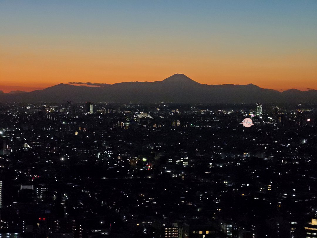 【東京景點】惠比壽花園廣場：完全免費的高空夜景！直擊東京鐵塔、富士山夕陽絕景 @Maruko(丸子)與美食有個約會