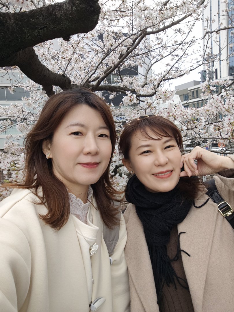 【長崎賞櫻秘境】搭路面電車就能到！市役所前的浪漫「粉紅櫻花隧道」 @Maruko(丸子)與美食有個約會