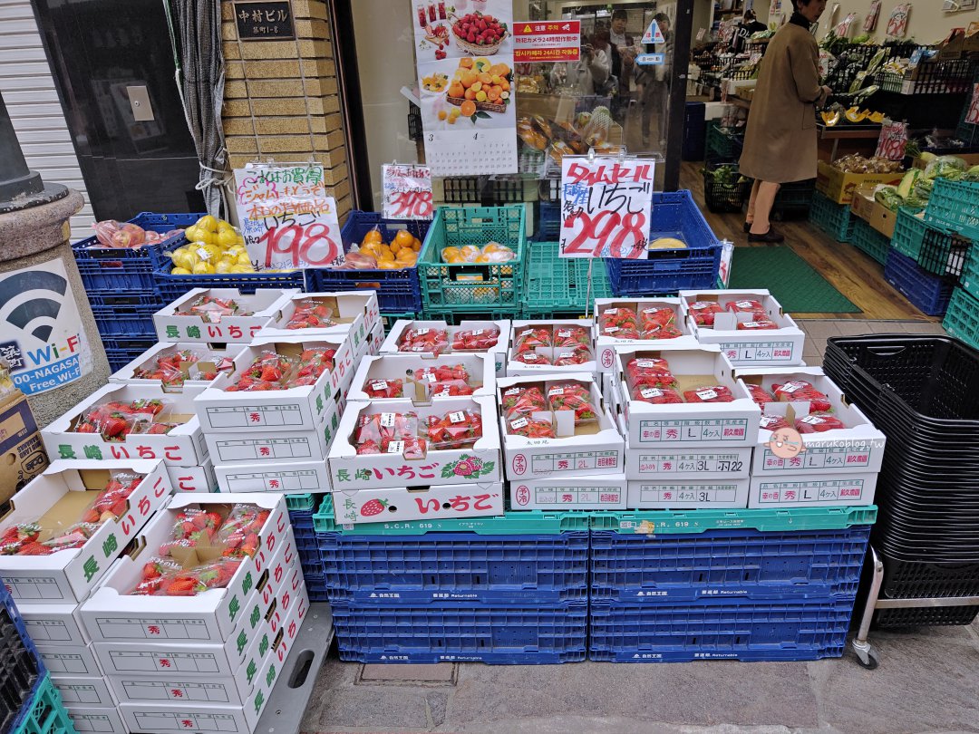【長崎賞櫻秘境】搭路面電車就能到！市役所前的浪漫「粉紅櫻花隧道」 @Maruko(丸子)與美食有個約會