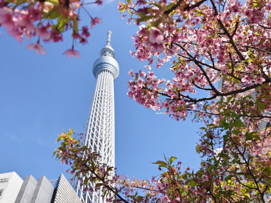【東京公寓式飯店推薦】MIMARU東京錦糸町實住分享｜四人房、公寓式廚房、親子自由行首選 @Maruko(丸子)與美食有個約會