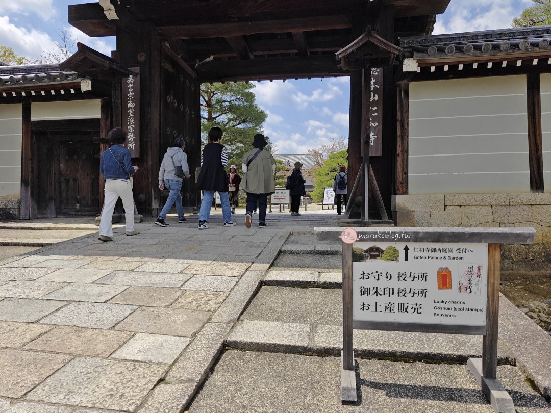 【京都賞櫻景點】錯過滿開也不怕！世界遺產「仁和寺」御室櫻，抓住京都最後的粉紅花海 @Maruko(丸子)與美食有個約會