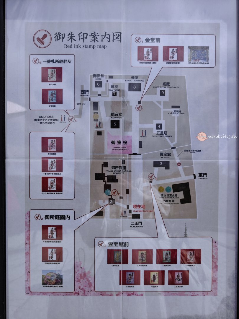 【京都賞櫻景點】錯過滿開也不怕！世界遺產「仁和寺」御室櫻，抓住京都最後的粉紅花海 @Maruko(丸子)與美食有個約會