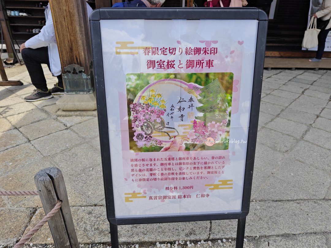【京都賞櫻景點】錯過滿開也不怕！世界遺產「仁和寺」御室櫻，抓住京都最後的粉紅花海 @Maruko(丸子)與美食有個約會