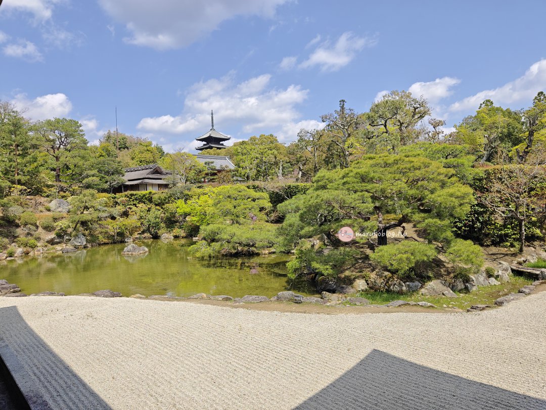 【京都賞櫻景點】錯過滿開也不怕！世界遺產「仁和寺」御室櫻，抓住京都最後的粉紅花海 @Maruko(丸子)與美食有個約會