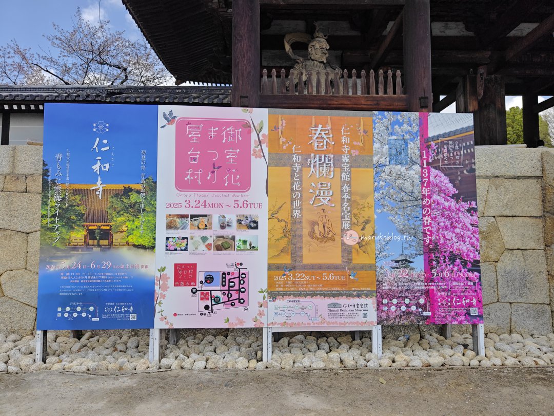 【京都賞櫻景點】錯過滿開也不怕！世界遺產「仁和寺」御室櫻，抓住京都最後的粉紅花海 @Maruko(丸子)與美食有個約會