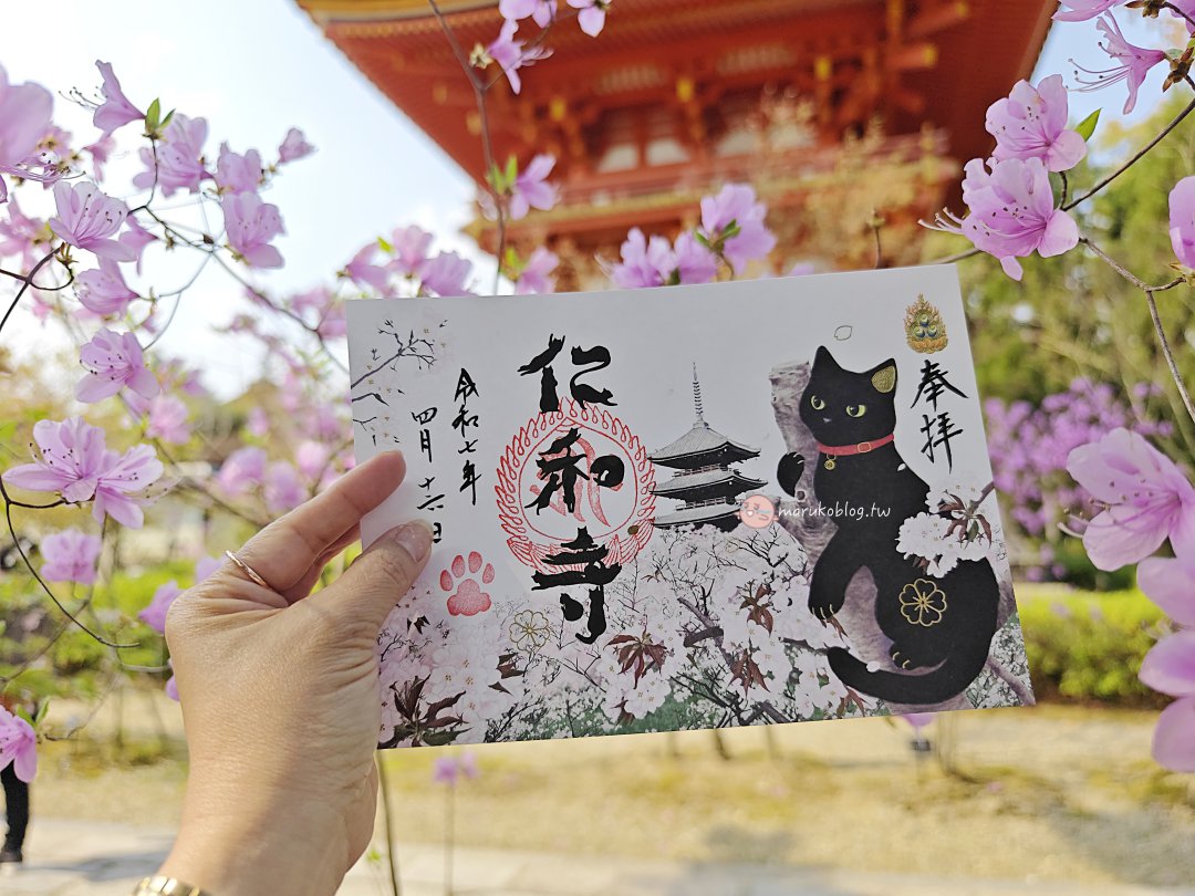 【京都賞櫻景點】錯過滿開也不怕！世界遺產「仁和寺」御室櫻，抓住京都最後的粉紅花海 @Maruko(丸子)與美食有個約會
