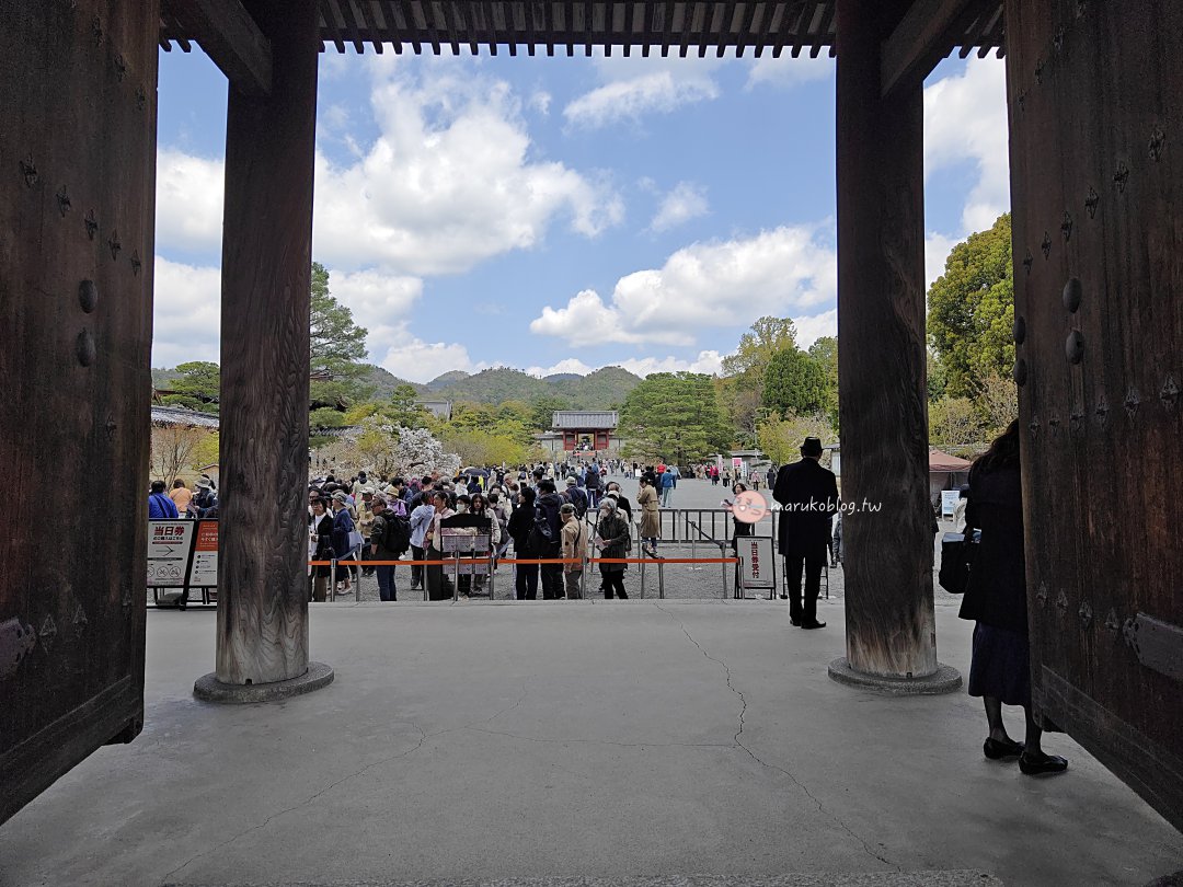 【京都賞櫻景點】錯過滿開也不怕！世界遺產「仁和寺」御室櫻，抓住京都最後的粉紅花海 @Maruko(丸子)與美食有個約會