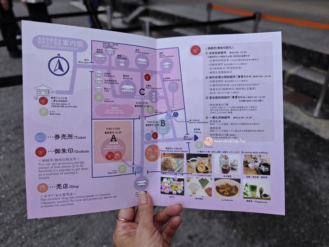 【京都賞櫻景點】錯過滿開也不怕！世界遺產「仁和寺」御室櫻，抓住京都最後的粉紅花海 @Maruko(丸子)與美食有個約會
