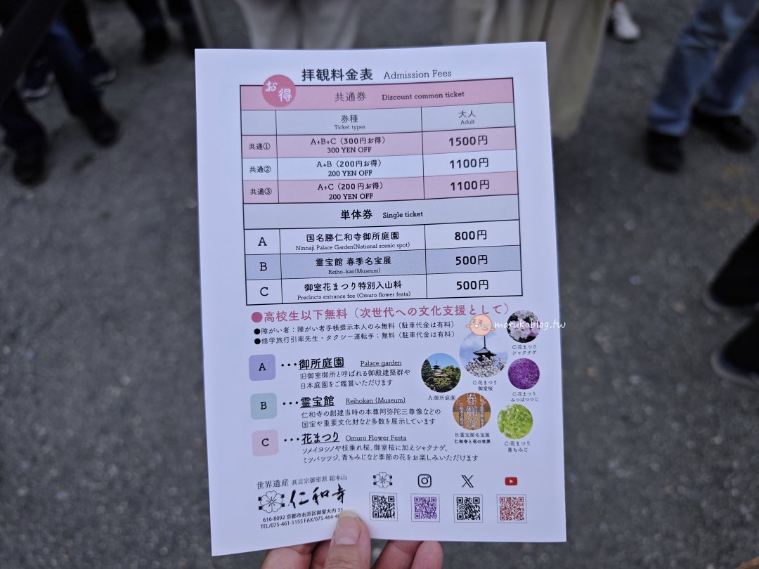 【京都賞櫻景點】錯過滿開也不怕！世界遺產「仁和寺」御室櫻，抓住京都最後的粉紅花海 @Maruko(丸子)與美食有個約會