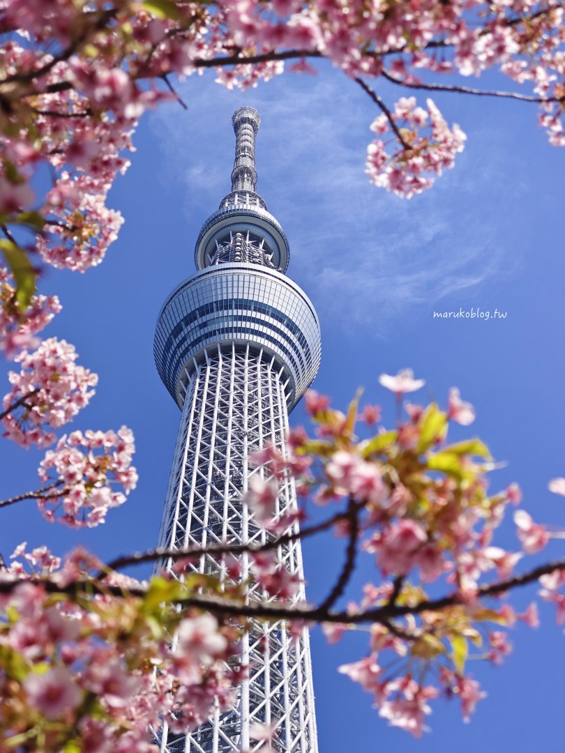 【東京最新景點】晴空塔第一排！日本最高星巴克，30層高樓典藏星巴克絕美開幕 @Maruko(丸子)與美食有個約會
