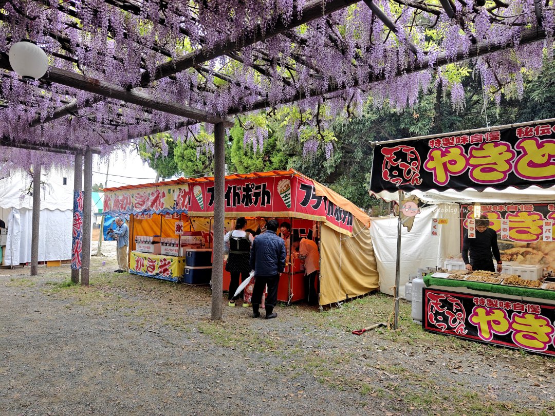 【福岡近郊景點】中山大藤：300 年紫藤花瀑布盛開！柳川一日遊、交通接駁、祭典美食完整攻略 @Maruko(丸子)與美食有個約會