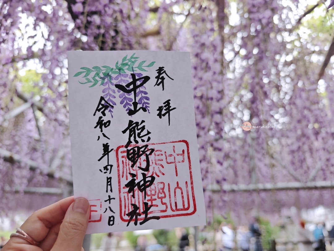 【福岡近郊景點】中山大藤：300 年紫藤花瀑布盛開！柳川一日遊、交通接駁、祭典美食完整攻略 @Maruko(丸子)與美食有個約會
