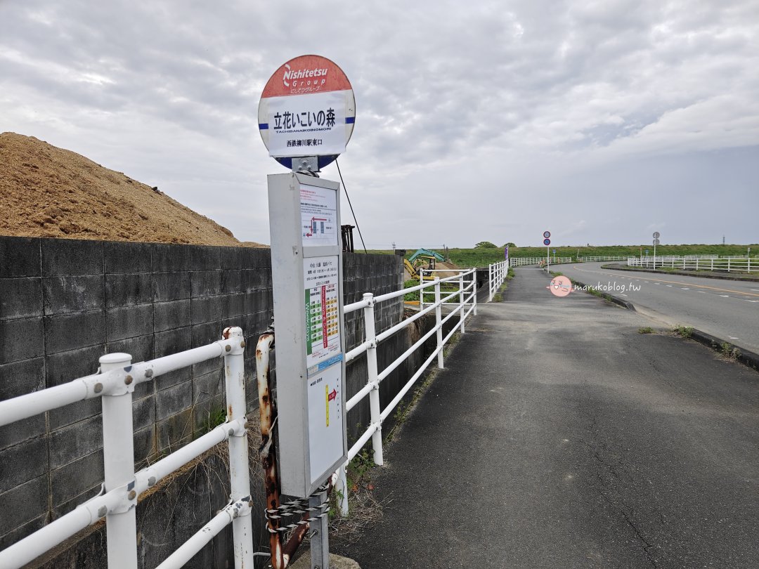 【福岡近郊景點】中山大藤：300 年紫藤花瀑布盛開！柳川一日遊、交通接駁、祭典美食完整攻略 @Maruko(丸子)與美食有個約會