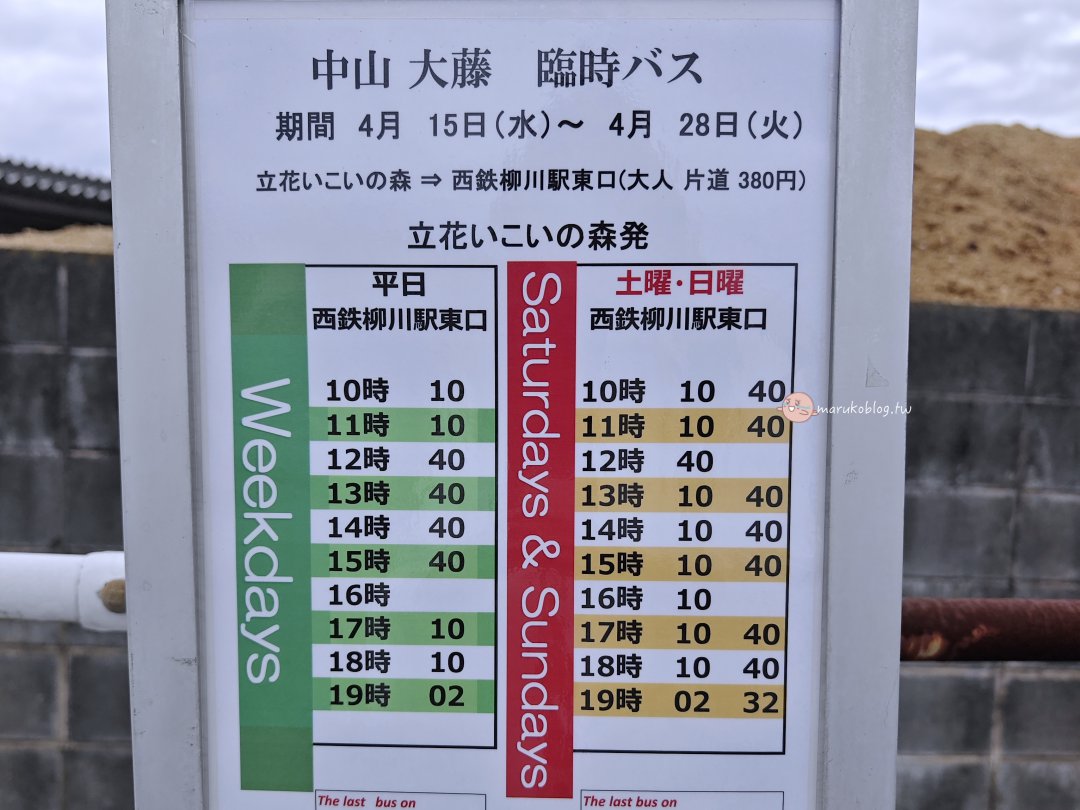 【福岡近郊景點】中山大藤：300 年紫藤花瀑布盛開！柳川一日遊、交通接駁、祭典美食完整攻略 @Maruko(丸子)與美食有個約會