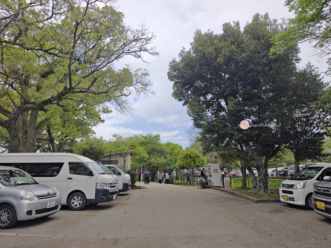【福岡近郊景點】中山大藤：300 年紫藤花瀑布盛開！柳川一日遊、交通接駁、祭典美食完整攻略 @Maruko(丸子)與美食有個約會