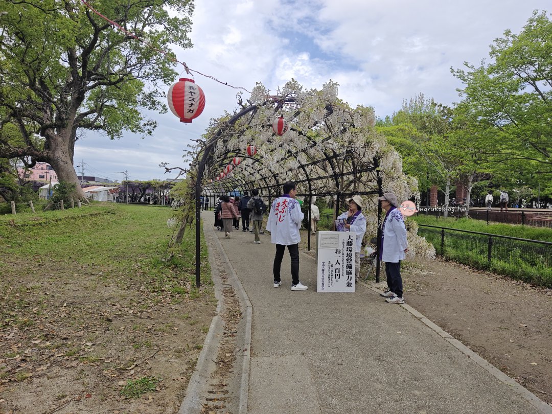 【福岡近郊景點】中山大藤：300 年紫藤花瀑布盛開！柳川一日遊、交通接駁、祭典美食完整攻略 @Maruko(丸子)與美食有個約會
