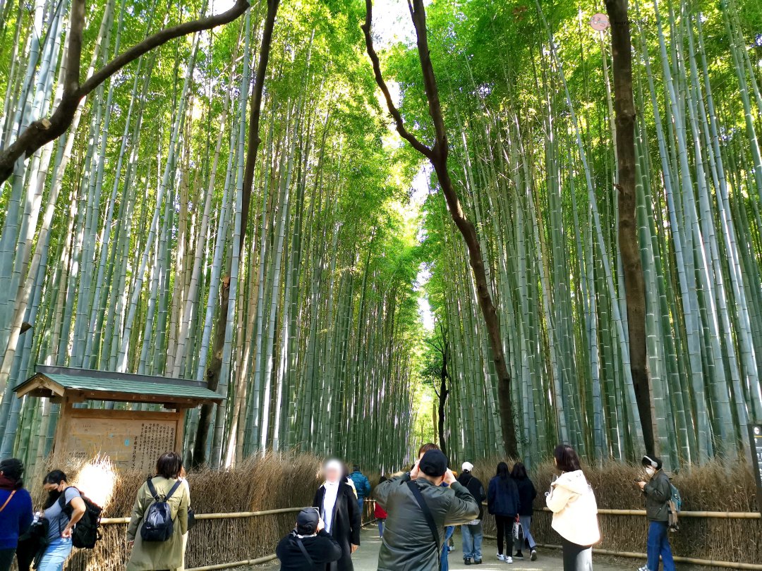 京都自由行攻略｜景點、美食、住宿、交通與行程完整整理 @Maruko(丸子)與美食有個約會