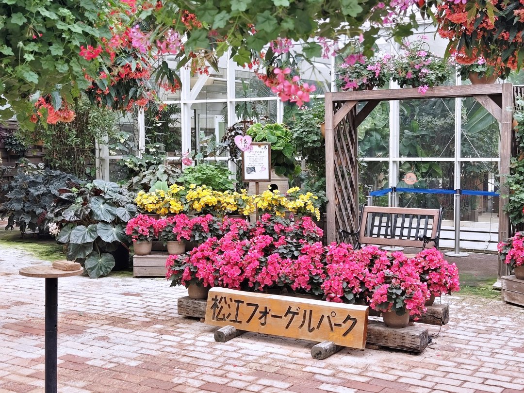 【島根自由行】松江住宿推薦|松江東急卓越飯店評價:玩出雲大社、松江花鳥園完美攻略 @Maruko(丸子)與美食有個約會 【島根自由行】松江住宿推薦|松江東急卓越飯店評價:玩出雲大社、松江花鳥園完美攻略 @Maruko(丸子)與美食有個約會