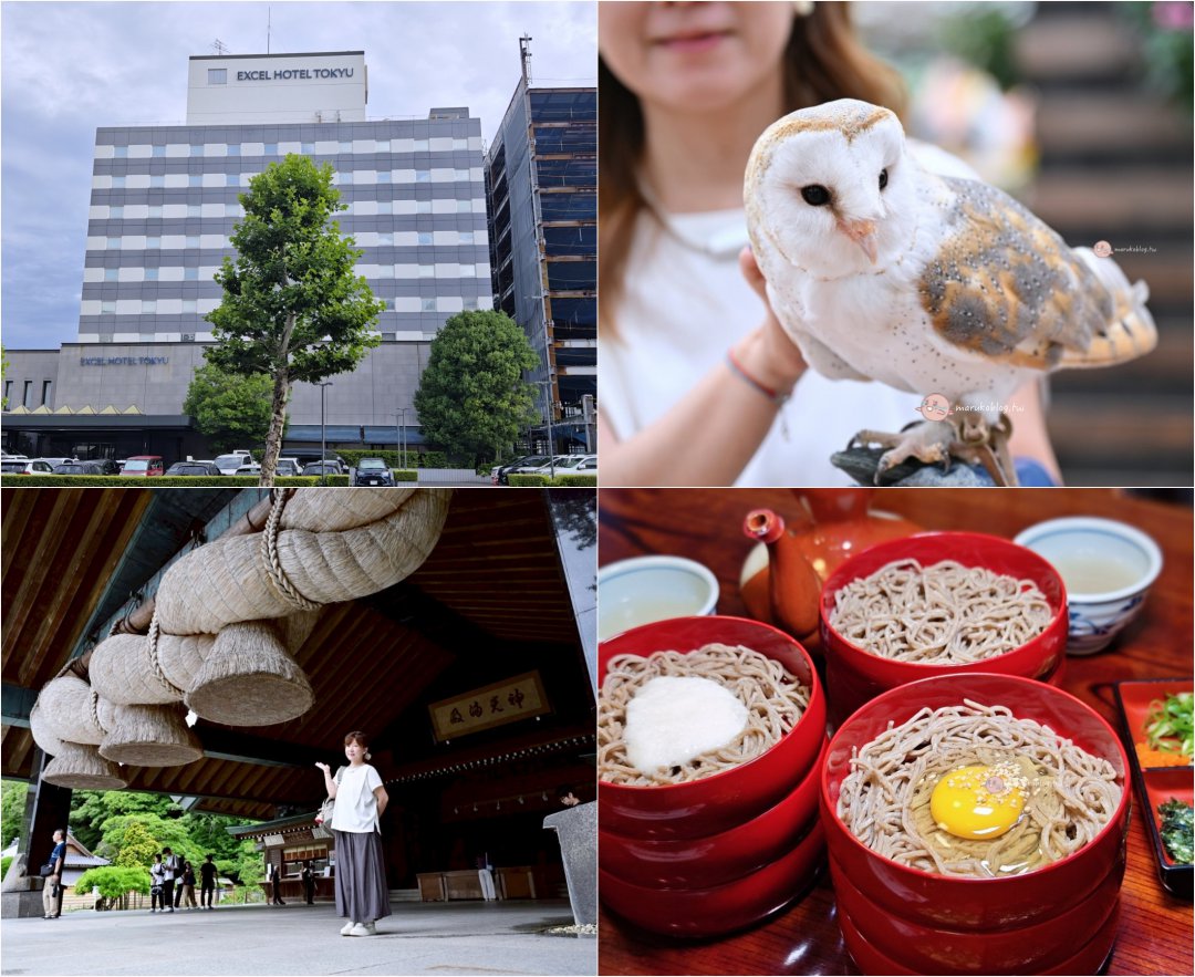 【島根自由行】松江住宿推薦|松江東急卓越飯店評價:玩出雲大社、松江花鳥園完美攻略 【島根自由行】松江住宿推薦|松江東急卓越飯店評價:玩出雲大社、松江花鳥園完美攻略 @Maruko(丸子)與美食有個約會