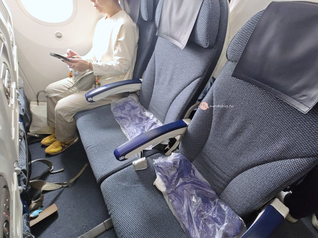 ANA 東京羽田飛台北搭乘攻略｜經濟艙座位、飛機餐、看富士山最佳座位、搭乘心得一次看 @Maruko(丸子)與美食有個約會