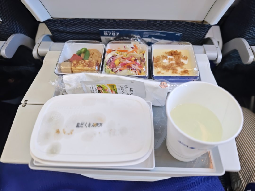 ANA 東京羽田飛台北搭乘攻略｜經濟艙座位、飛機餐、看富士山最佳座位、搭乘心得一次看 @Maruko(丸子)與美食有個約會