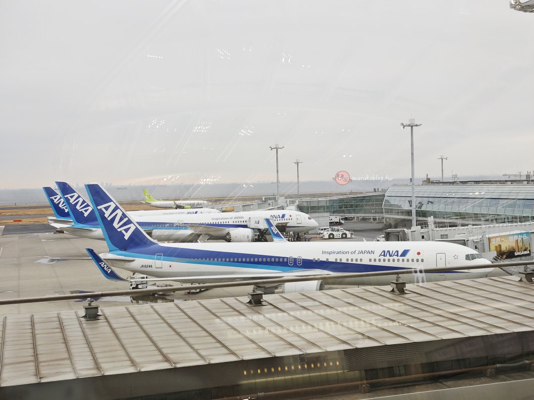 ANA 東京羽田飛台北搭乘攻略｜經濟艙座位、飛機餐、看富士山最佳座位、搭乘心得一次看 @Maruko(丸子)與美食有個約會