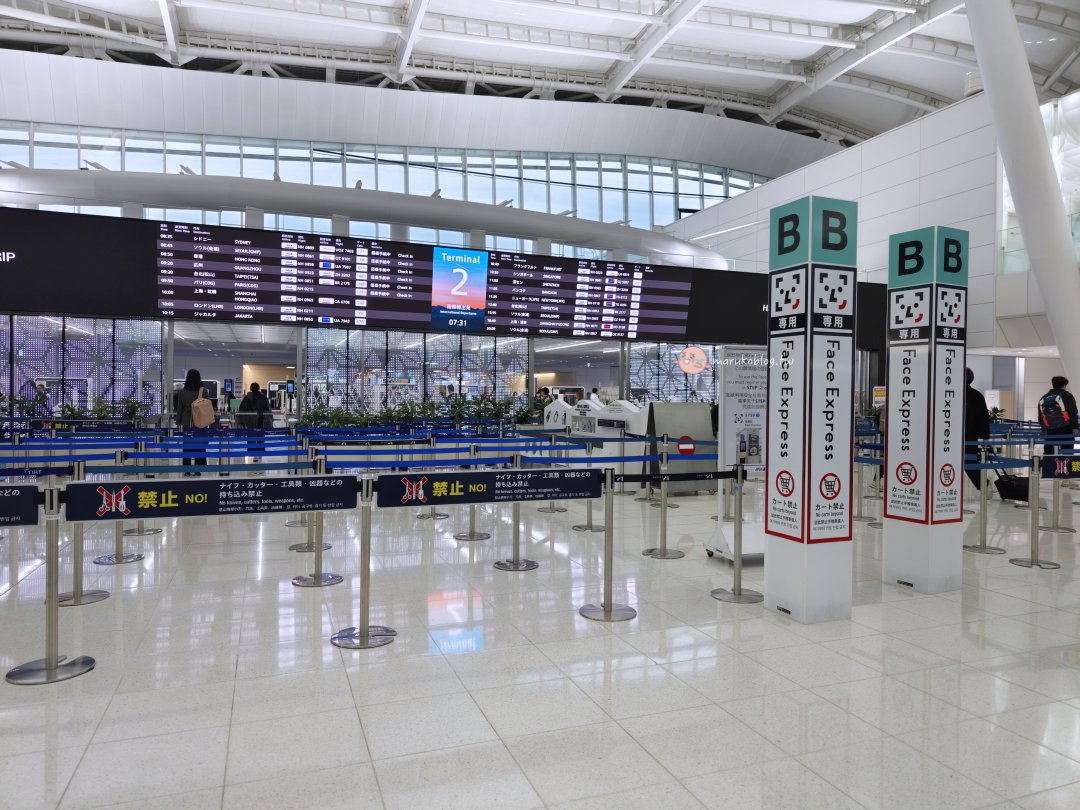 ANA 東京羽田飛台北搭乘攻略｜經濟艙座位、飛機餐、看富士山最佳座位、搭乘心得一次看 @Maruko(丸子)與美食有個約會
