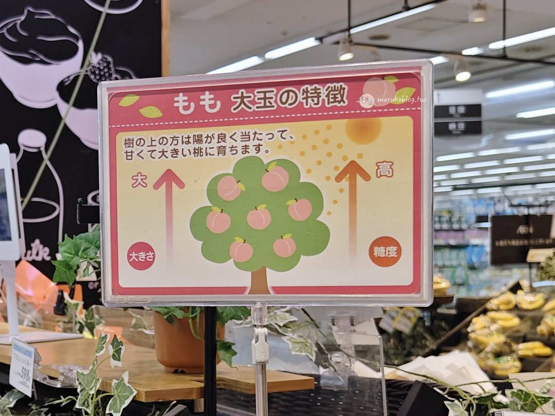 日本水蜜桃推薦｜產季、品種、價格、哪裡買一次看！白鳳、川中島、清水白桃完整比較（2026） @Maruko(丸子)與美食有個約會