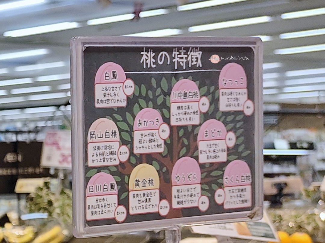 日本水蜜桃推薦｜產季、品種、價格、哪裡買一次看！白鳳、川中島、清水白桃完整比較（2026） @Maruko(丸子)與美食有個約會